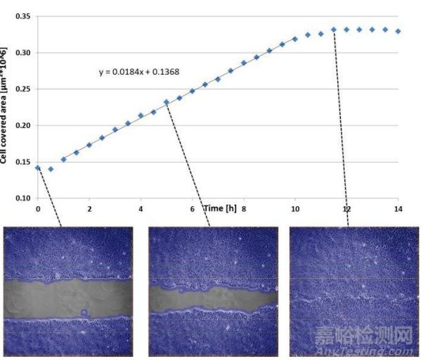 細(xì)胞劃痕實(shí)驗(yàn)新方法詳解