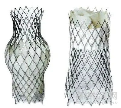 TricValve：首個(gè)上下腔靜脈植入瓣膜治療三尖瓣關(guān)閉不全