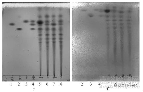 圖2  32%(c)和80%(d)的果膠薄層色譜圖