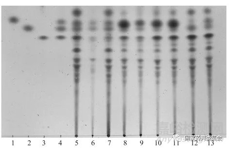 圖3  不同薄層板的果膠薄層色譜圖