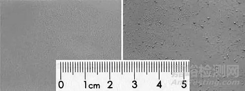 鋰電池極片缺陷圖譜大全