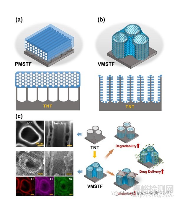 鈦納米多孔結(jié)構(gòu)表面垂直向介孔二氧化硅薄膜的制備及生物學(xué)評價