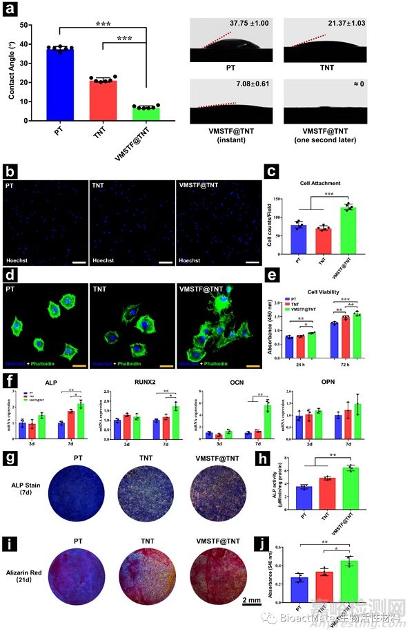 鈦納米多孔結(jié)構(gòu)表面垂直向介孔二氧化硅薄膜的制備及生物學(xué)評價