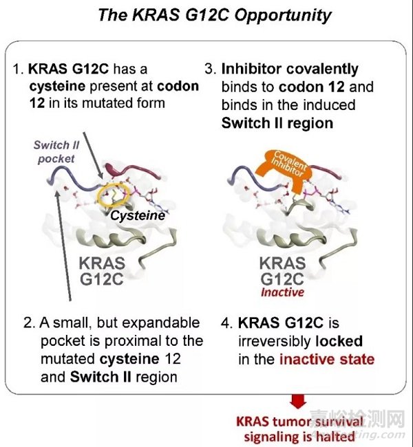 2021年醫(yī)療健康領(lǐng)域備受關(guān)注的大事