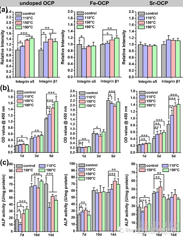 離子摻雜增強(qiáng)磷酸鈣材料的理化性能和細(xì)胞活性:基于熱穩(wěn)定性的角度
