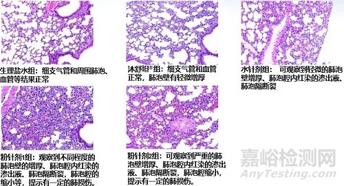 從不溶性微粒角度解讀注射劑原研藥與仿制藥的差異
