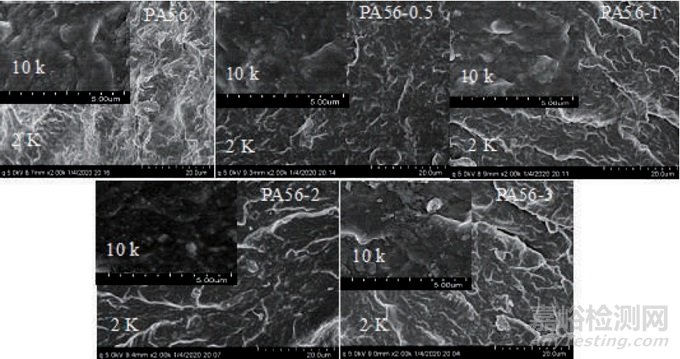 抗菌生物基聚酰胺56和纖維的熱性能、粘度及力學(xué)等性能分析