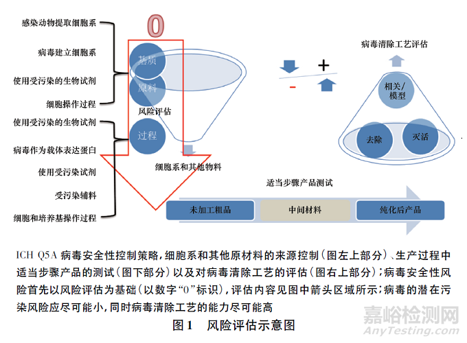 生物制品病毒安全性控制的核心理念探討