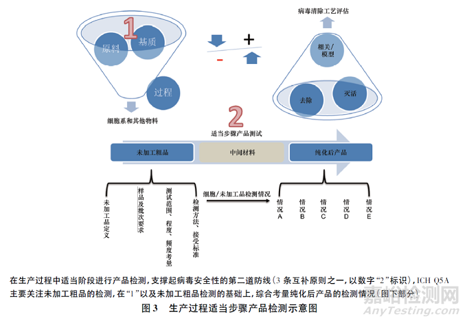 生物制品病毒安全性控制的核心理念探討