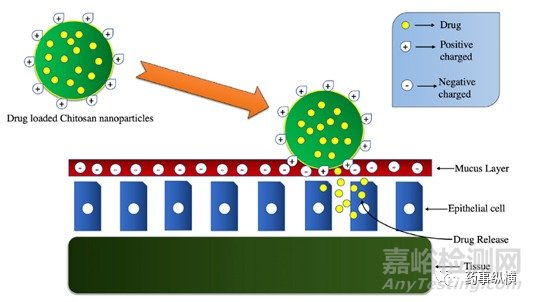 殼聚糖在藥物制劑中的應(yīng)用