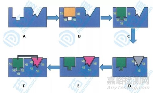藥物研發(fā)新革命—核磁共振技術加速先導化合物發(fā)現(xiàn)