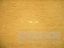 多層瓷介電容常見失效模式及機(jī)理