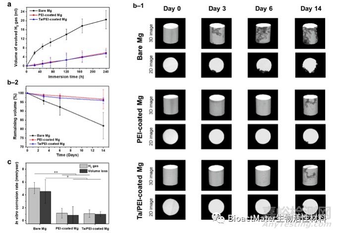 在鎂植入物上構(gòu)建具有腐蝕保護(hù)和骨整合特性的鉭/聚乙烯亞胺涂層