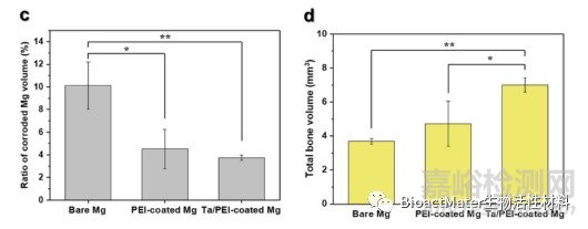 在鎂植入物上構(gòu)建具有腐蝕保護(hù)和骨整合特性的鉭/聚乙烯亞胺涂層