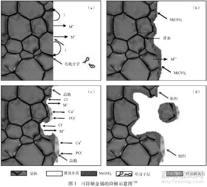 醫(yī)用鎂合金表面改性研究進展