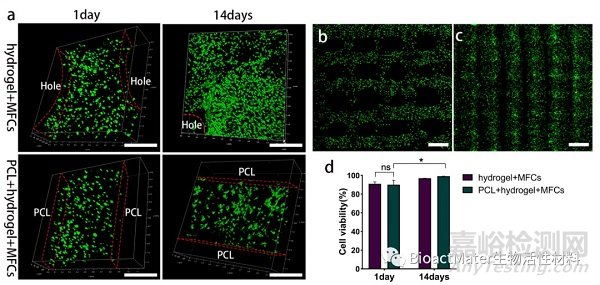 3D生物打印仿生半月板支架應(yīng)用于組織工程領(lǐng)域