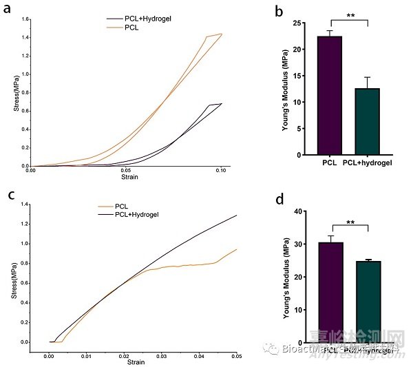 3D生物打印仿生半月板支架應(yīng)用于組織工程領(lǐng)域