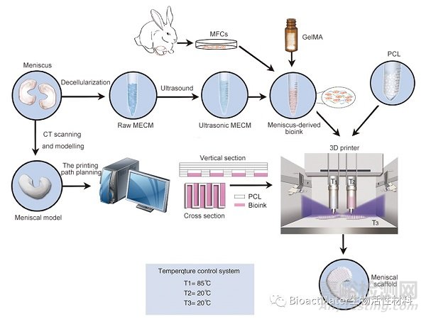 3D生物打印仿生半月板支架應(yīng)用于組織工程領(lǐng)域