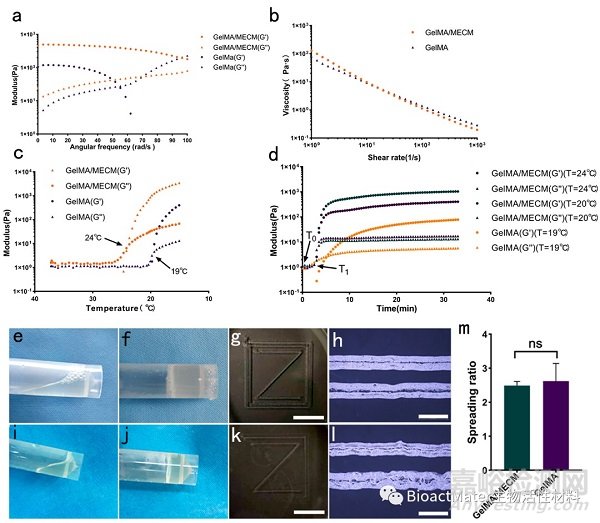3D生物打印仿生半月板支架應(yīng)用于組織工程領(lǐng)域