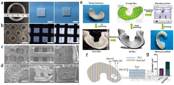 3D生物打印仿生半月板支架應(yīng)用于組織工程領(lǐng)域