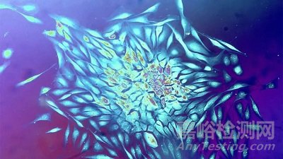 盤(pán)點(diǎn)2020年世界十大科技進(jìn)展