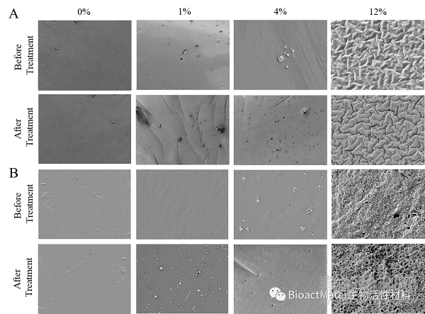 仿生清道夫的微膠囊進行腸內(nèi)脂多糖解毒