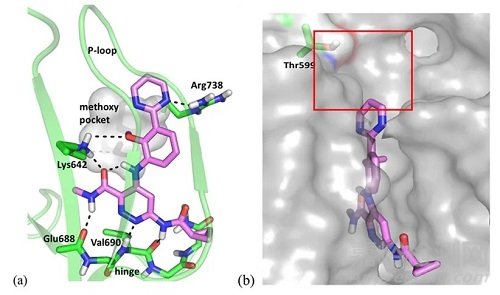 新藥研發(fā)：百時美施貴寶臨床I期Tyk2抑制劑BMS-986202的發(fā)現(xiàn)