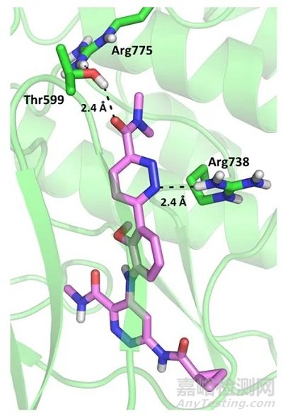 新藥研發(fā)：百時美施貴寶臨床I期Tyk2抑制劑BMS-986202的發(fā)現(xiàn)