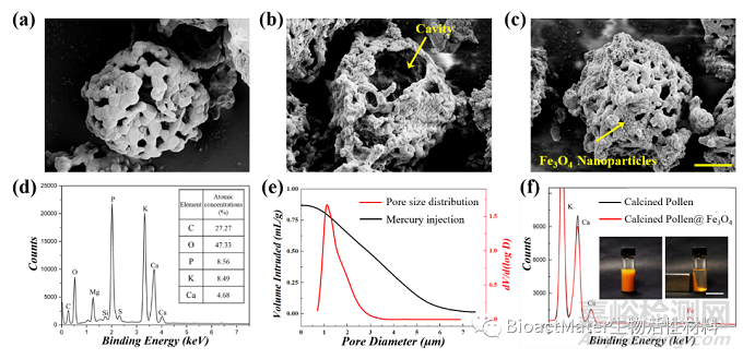 源于天然花粉的磁性多孔顆粒用于吸附血漿中低密度脂蛋白