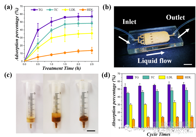 源于天然花粉的磁性多孔顆粒用于吸附血漿中低密度脂蛋白