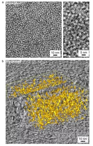 冷凍電鏡在納米材料、能源存儲和催化領(lǐng)域的最新研發(fā)進展