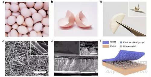 冷凍電鏡在納米材料、能源存儲和催化領(lǐng)域的最新研發(fā)進展