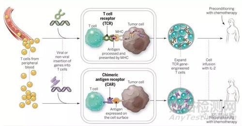 FDA批準(zhǔn)BMS的CAR-T療法用于大B細(xì)胞淋巴瘤治療