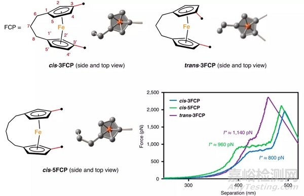 Stephen L Craig/唐傳兵合作《Nat. Chem.》：二茂鐵高分子力化學(xué)