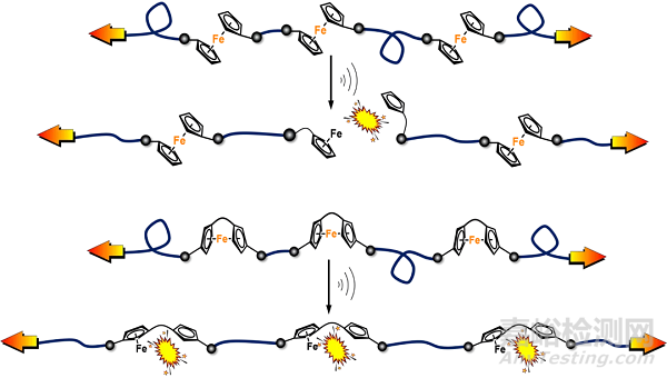 Stephen L Craig/唐傳兵合作《Nat. Chem.》：二茂鐵高分子力化學(xué)