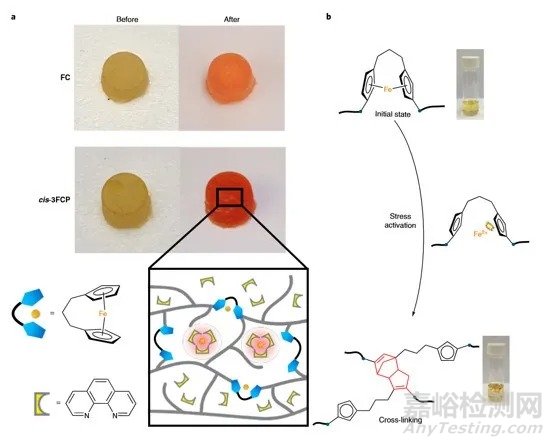 Stephen L Craig/唐傳兵合作《Nat. Chem.》：二茂鐵高分子力化學(xué)