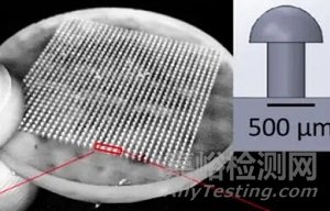 科學家利用3D打印出具有蘑菇狀微觀的新型粘合材料
