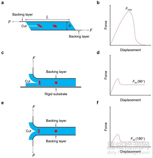 哈佛大學(xué):在軟材料韌性表征方面取得新進(jìn)展