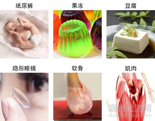 抗溶脹強韌水凝膠構筑新策略