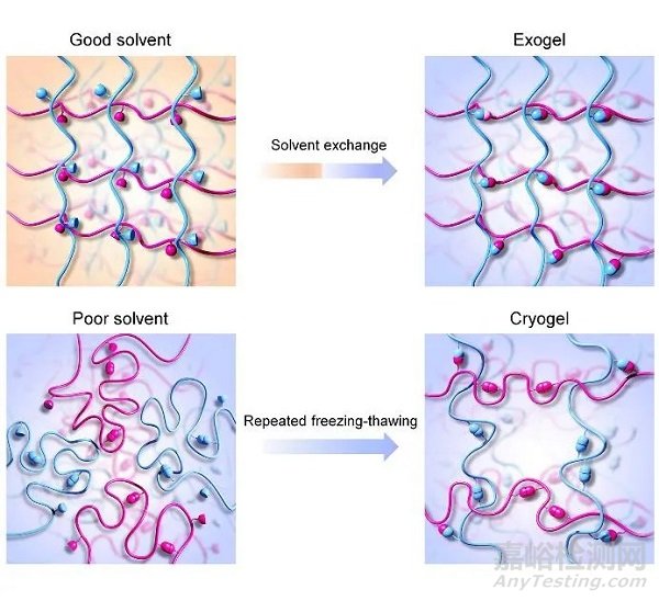 抗溶脹強韌水凝膠構筑新策略