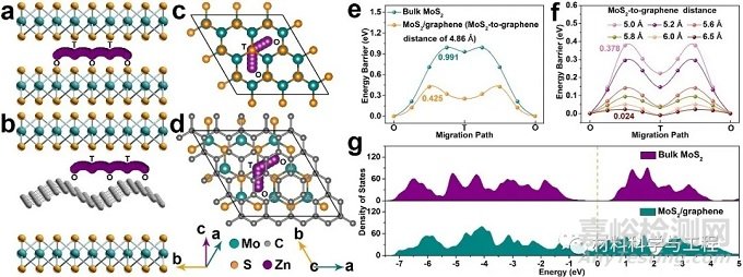 北科大Adv Mater：石墨烯插層二硫化鉬用作高性能水系鋅離子電池正極