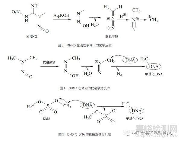 基因毒性雜質(zhì)的挑戰(zhàn)與控制策略——從ICH 指導綱領(lǐng)到實際操作層面