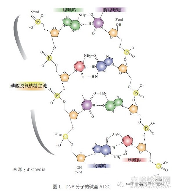 基因毒性雜質(zhì)的挑戰(zhàn)與控制策略——從ICH 指導綱領(lǐng)到實際操作層面