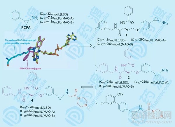 優(yōu)勢片段雜交策略在藥物研發(fā)中的應(yīng)用