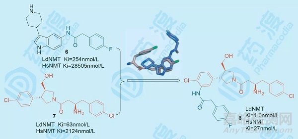優(yōu)勢片段雜交策略在藥物研發(fā)中的應(yīng)用