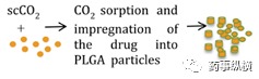 基于PLGA用于緩釋微粒的制備方法及提高載藥量的策略