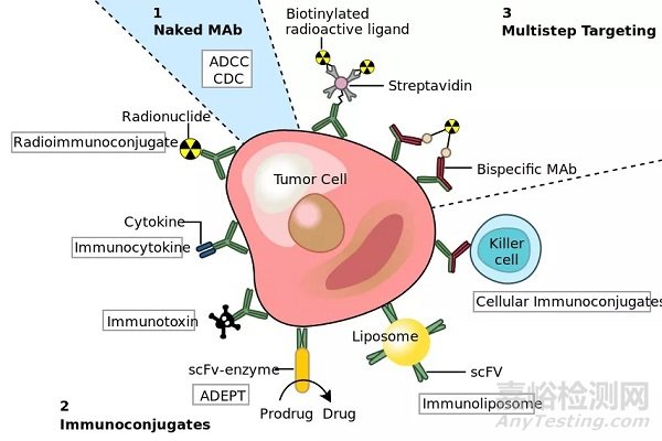 關(guān)于單克隆抗體藥物的10個(gè)答疑解惑
