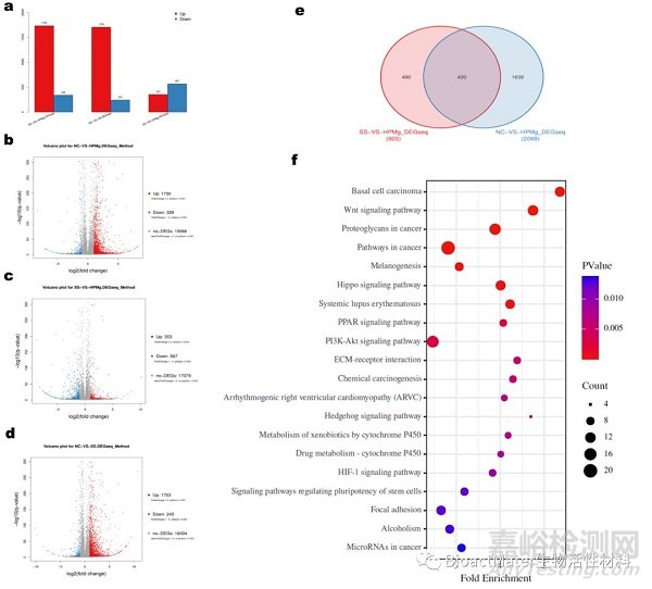 可降解高純鎂棒通過復(fù)合信號(hào)通路促進(jìn)牽張成骨新生骨鈣化過程