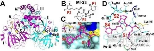 藥品研發(fā)中如何全面考慮多晶型問題及其關(guān)注要點