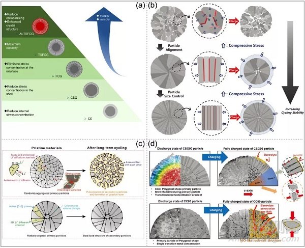 高鎳正極材料中微裂紋產(chǎn)生原因分析總結